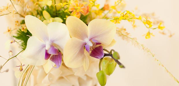 花を長持ちさせるコツ